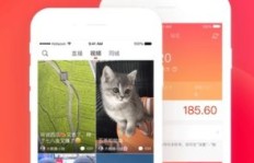 火山小视频刷粉丝、点赞，一天能赚多少钱？粉丝多有什么用？