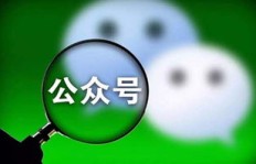 如何高效获取微信公众号粉丝？有哪些具体方法及赚钱途径？
