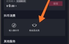 如何在电脑上高效刷抖音粉丝？哪些软件与技巧最受欢迎？