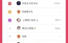 如何选择不掉粉的快手刷粉丝网站？