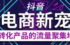 如何安全有效地提升抖音粉丝数？黑客级技巧大公开？