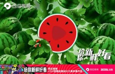 如何提升西瓜直播的粉丝和人气？高效刷粉可行吗？
