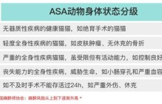 熊掌号刷粉丝风险知多少？深度解析熊掌号现状与使用指南