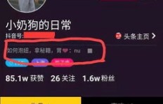抖音快速增粉背后，究竟采用了哪些神秘技术？