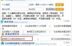 老人也能轻松使用？DY业务低价自助下单平台是怎样的体验？