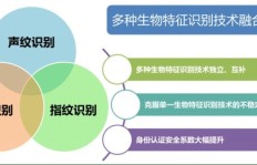 WB业务阅读下单平台有哪些优势与特点？