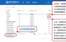 如何选择模式业务与代刷业务的下单平台？