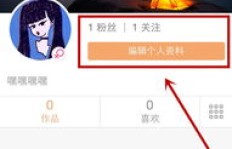 如何高效使用网站教程提升快手粉丝数量？
