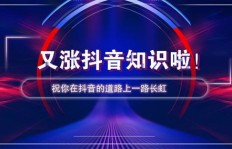 如何在抖音业务自助下单平台进行TT业务操作？