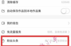 如何高效将快手粉丝转化为微信活粉？刷网秘籍告诉你！