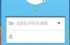 旺掌柜有哪些神秘功能？掌柜旺旺是何神器？