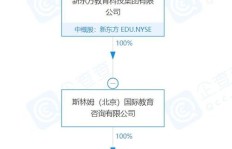 如何选择新东方抖音业务下单平台？有哪些优质选项？