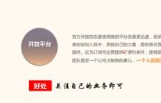 哪里能找到既优质又安全的Nice平台粉丝增长服务？