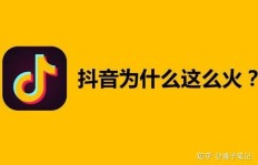投资抖音粉丝增长，究竟价值几何？