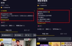 如何选择刷粉丝平台？抖音快手百万粉丝女歌手背后的真相？