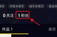 如何有效提升抖音粉丝数？靠谱的网站推荐来了！