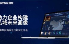刷钻能否带业务下单？淘麦黑钻VIP抢票有优势吗？