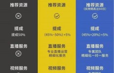 如何在抖音与主播合作实现盈利？有哪些具体步骤？