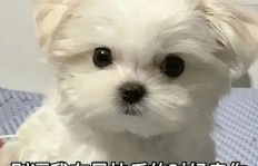 姐妹们都在做的兼职，你真的了解吗？
