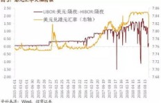 在贵州兴义，哪种生意最具盈利潜力？