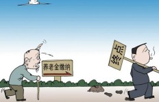 南方养老金支援东北，养老金缺口如何填补？