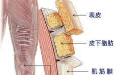 筋膜枪除了放松肌肉，还能拓展哪些副业赚钱机会？