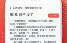 如何在舒适的家中阅读小说的同时实现盈利？
