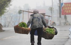 高龄老人卖菜谋生，收入几何？