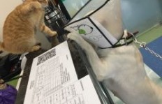 在济宁开设动物医院能否实现盈利？
