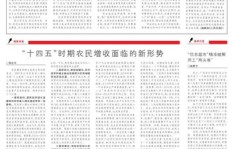 农民如何在新形势下实现增收致富？