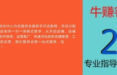 淘宝智能推广如何实现盈利？新手必看的赚钱攻略