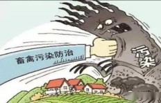 如何用副业稳固经济基础，实现自我支撑？