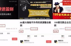 拳王公社副业如何实现高效盈利？