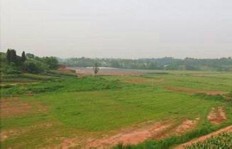 在邯郸，百亩土地种植什么项目能快速盈利？
