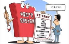 周周在主业之外还涉猎了哪些副业领域？