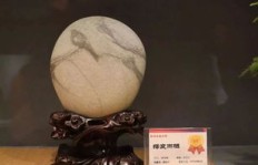 捡奇石真的能赚钱吗？探寻奇石市场的盈利真相