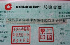 如何通过支票转账实现盈利？操作流程详解