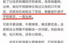 如何高效进行副业论文写作与图片排版？