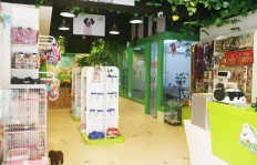 在巴中开一家宠物店，真的能盈利吗？