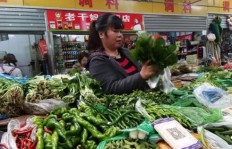 卖菜和批发菜，哪个更赚钱？你真的了解吗？