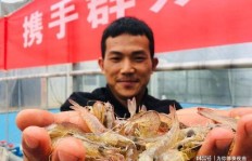 如何在远离海洋的内陆地区成功经营海鲜生意盈利？