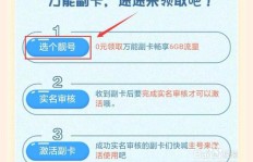 移动副卡推广真的能带来可观收入吗？如何评估其盈利潜力？