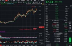 国轩转债投资收益如何？能否实现稳健盈利？