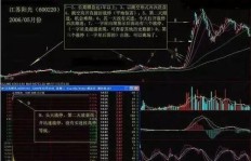 炒股获利者真是投资高手？还是市场幸运儿？