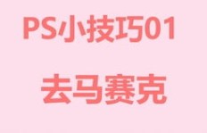 蝶贝蕾真的能带来可观收益吗？真相令人好奇！