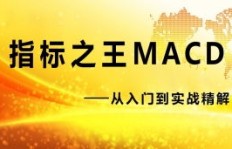 参加股票培训课程，真的能助你实现财富增长吗？