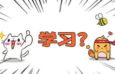 工资不高时，如何选择合适的兼职提升收入？