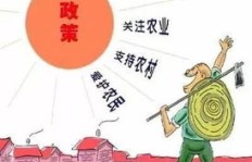 农民倾向于选择哪些生意来实现盈利增长？