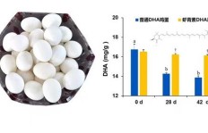 如何通过销售虾青素鸡蛋实现盈利？