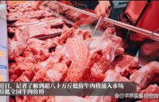 养牛与卖牛肉，哪个更赚钱？深度分析对比